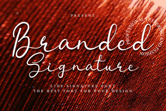 Branded Signature Font Review for Elegant Brand Identity