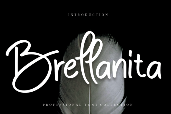 Brellanita Font Review for Handmade Branding