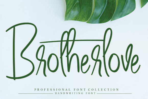 Brotherlove: Elegant Script Handwritten Fonts for Craft Projects