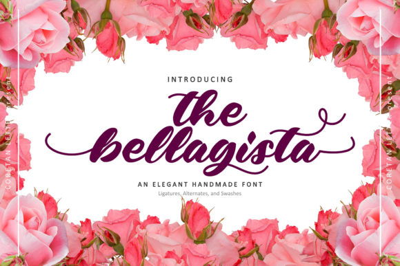 The Bellagista: A Sweet Script Handwritten Font for Editorial Design