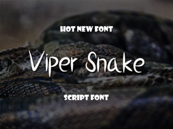 Viper Snake Handwritten Font for Creative Branding Projects
